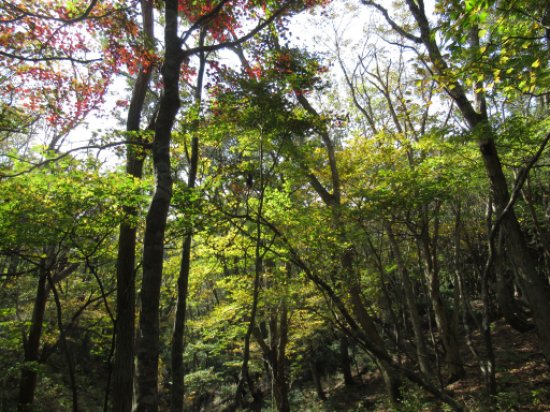 画像38